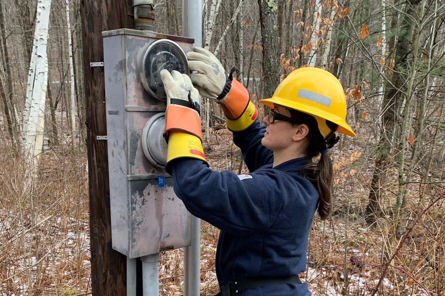 Safe, Affordable & Reliable Energy — Vermont Electric Coop